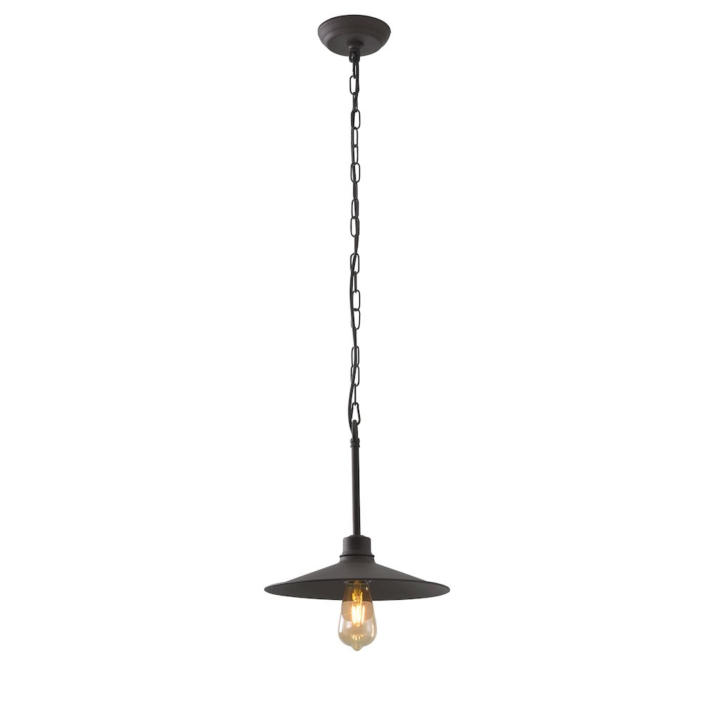 Clayton 1-Lt Pendant - Dark Coffee. Picture 1