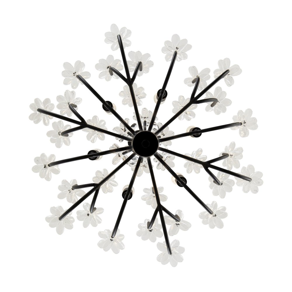 Wildflower 6-Lt Chandelier - Matte Black. Picture 3
