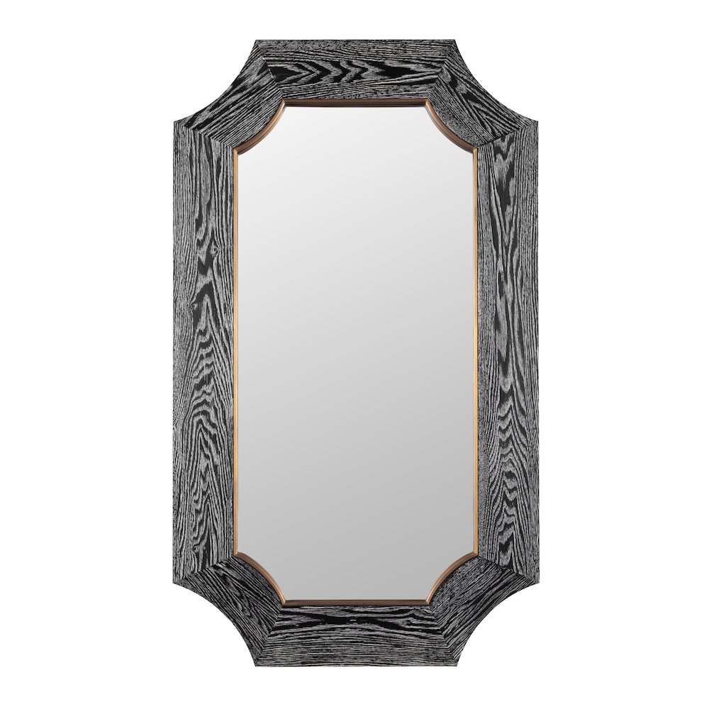 Farra 26x44 Wall Mirror - Cerused Black/Weathered Brass. Picture 1