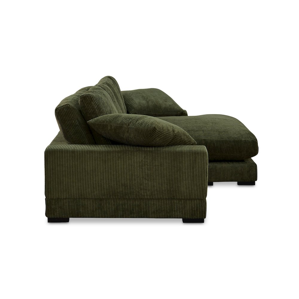 Plunge Sectional. Picture 5