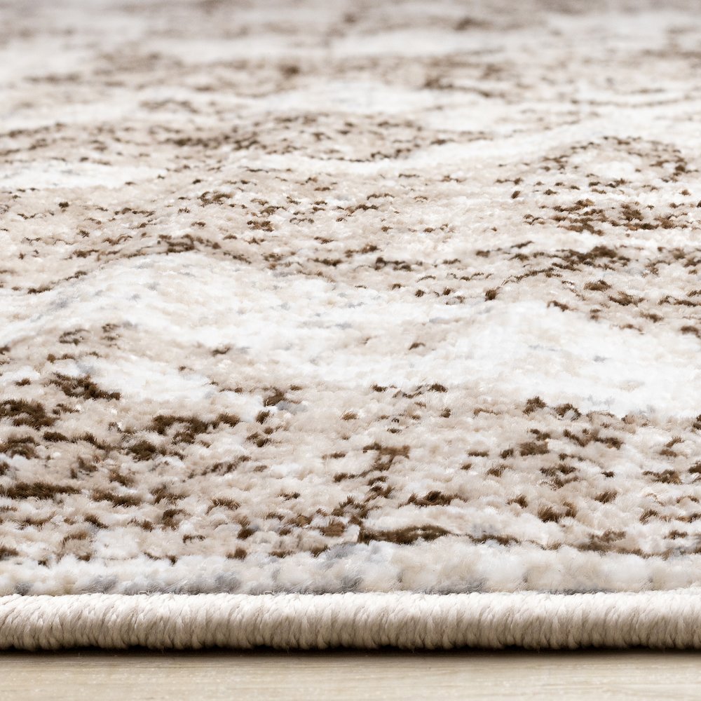 Classic 6x9 Rug in Brown and Cream, Distressed Rug Styled as Vintage Area Rug. Picture 5