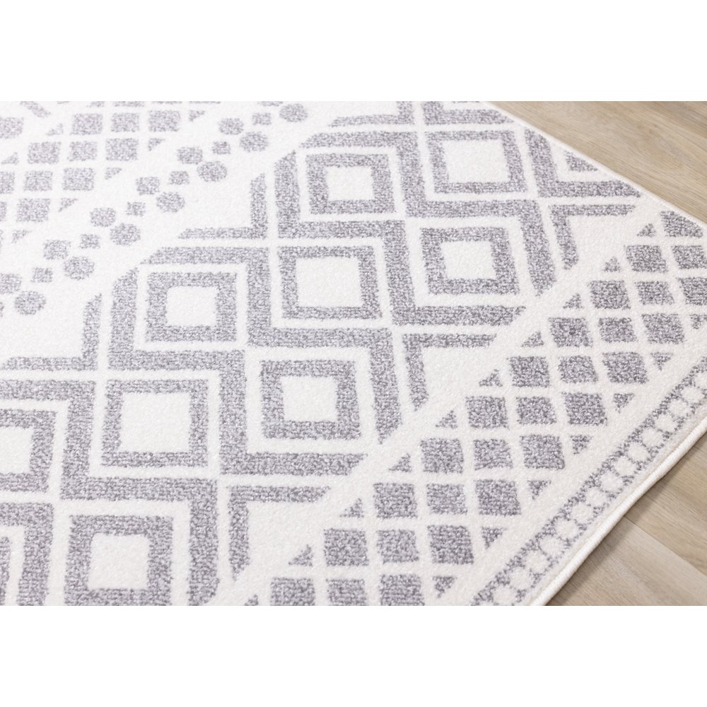 Claremont Grey White Southwest Area Rug, 7'10" x 10'6". Picture 4