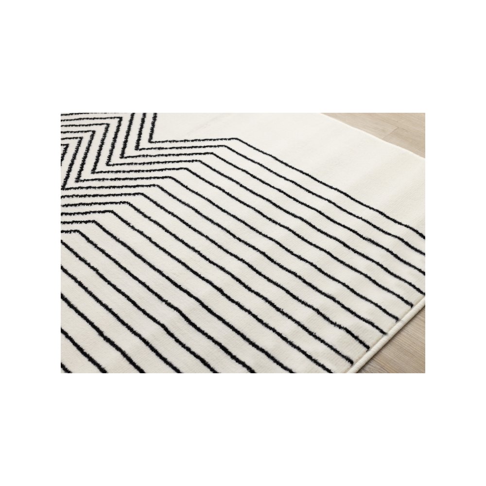 Black and White 7x10 Modern Rug for Living Interiors. Picture 4
