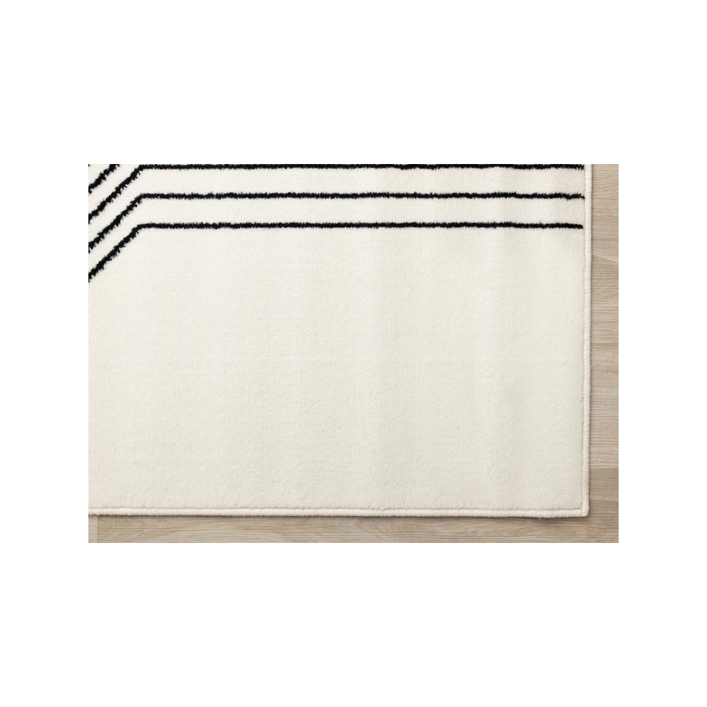 Black and White 7x10 Modern Rug for Living Interiors. Picture 6