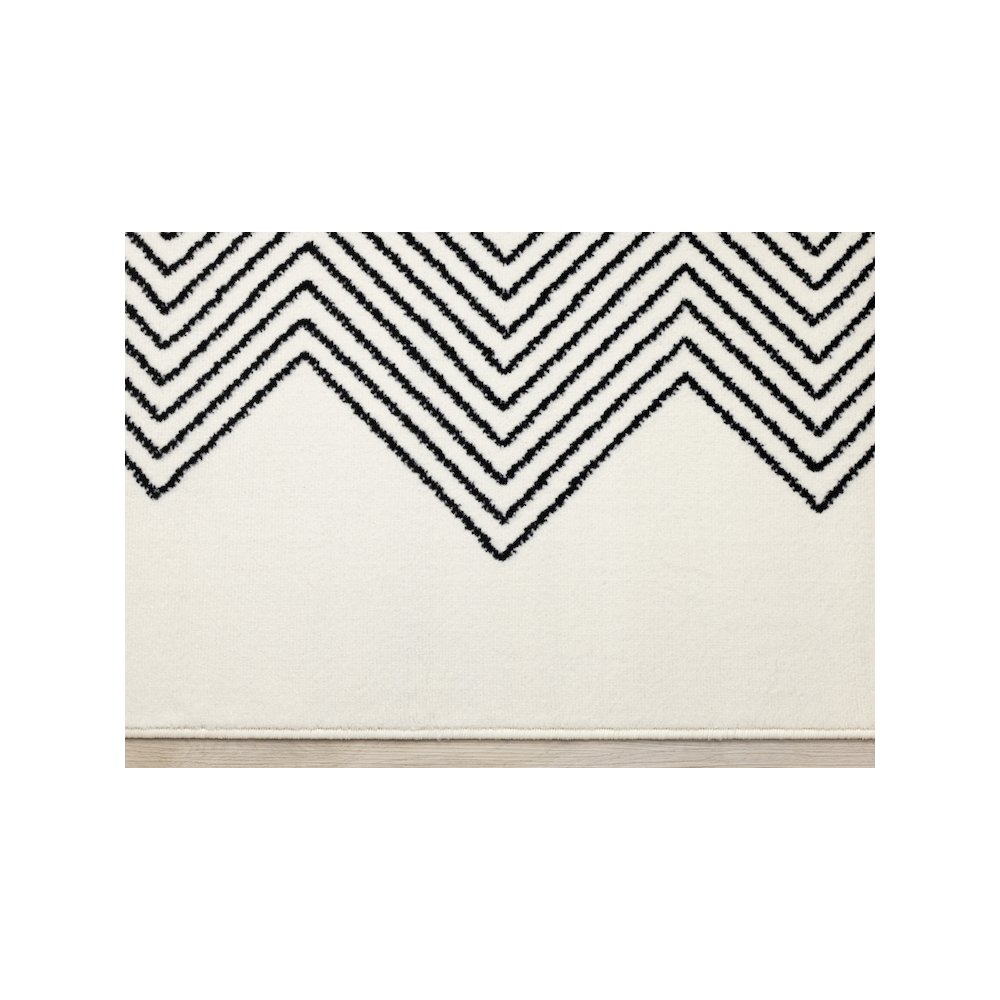 Black and White 7x10 Modern Rug for Living Interiors. Picture 9