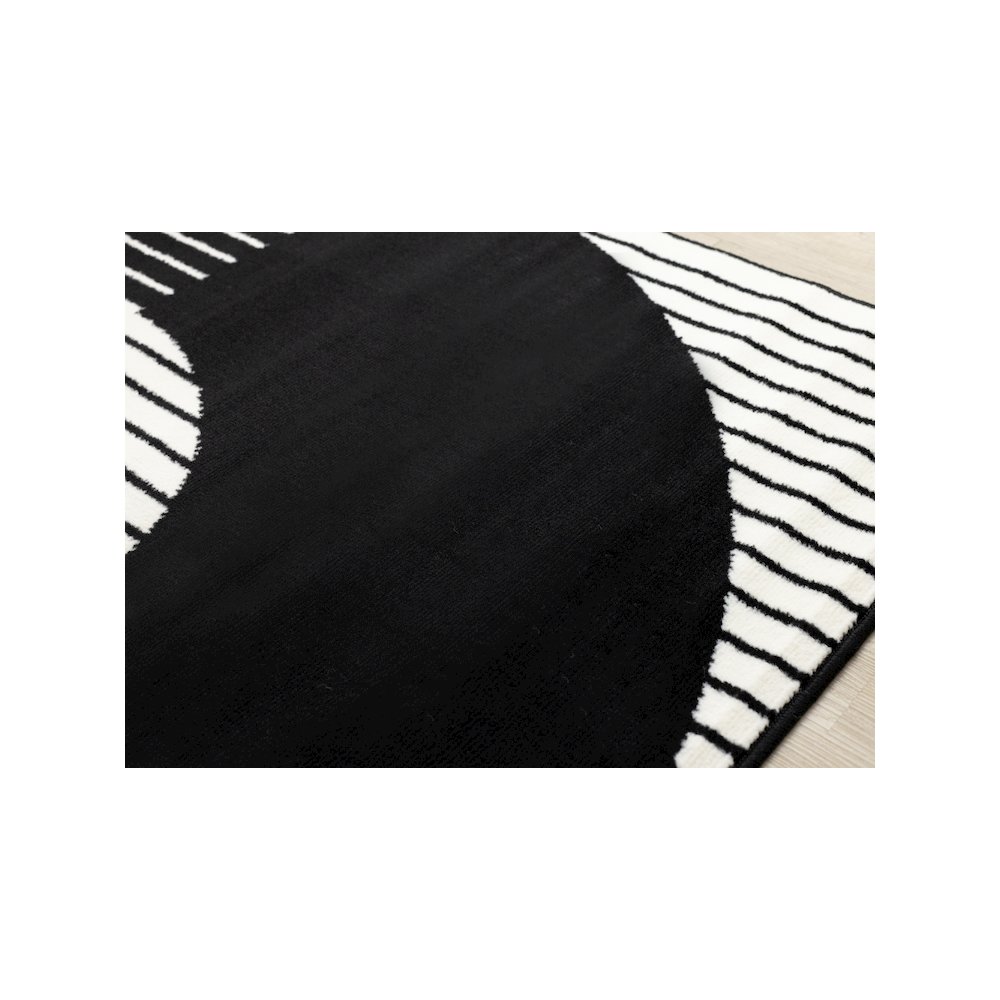 Functional Style Black White Modern Rug, 7'9" x 10'6". Picture 4