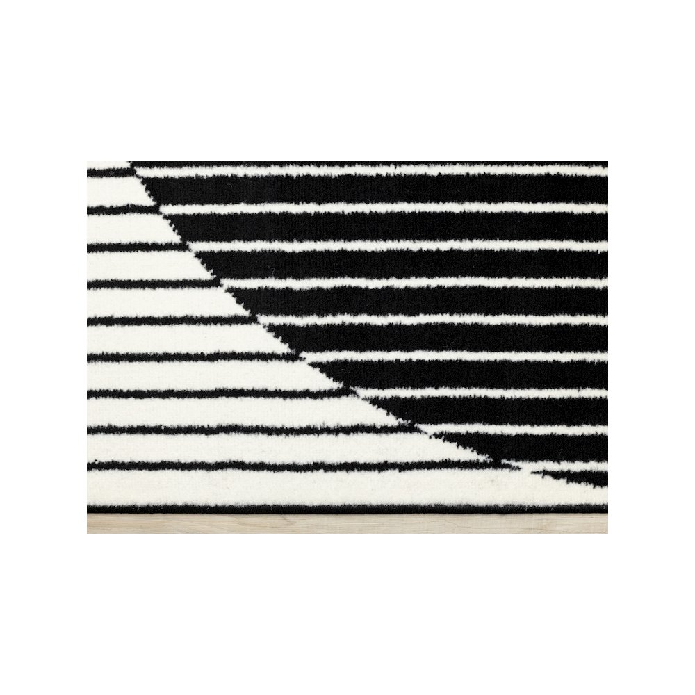 Functional Style Black White Modern Rug, 7'9" x 10'6". Picture 9