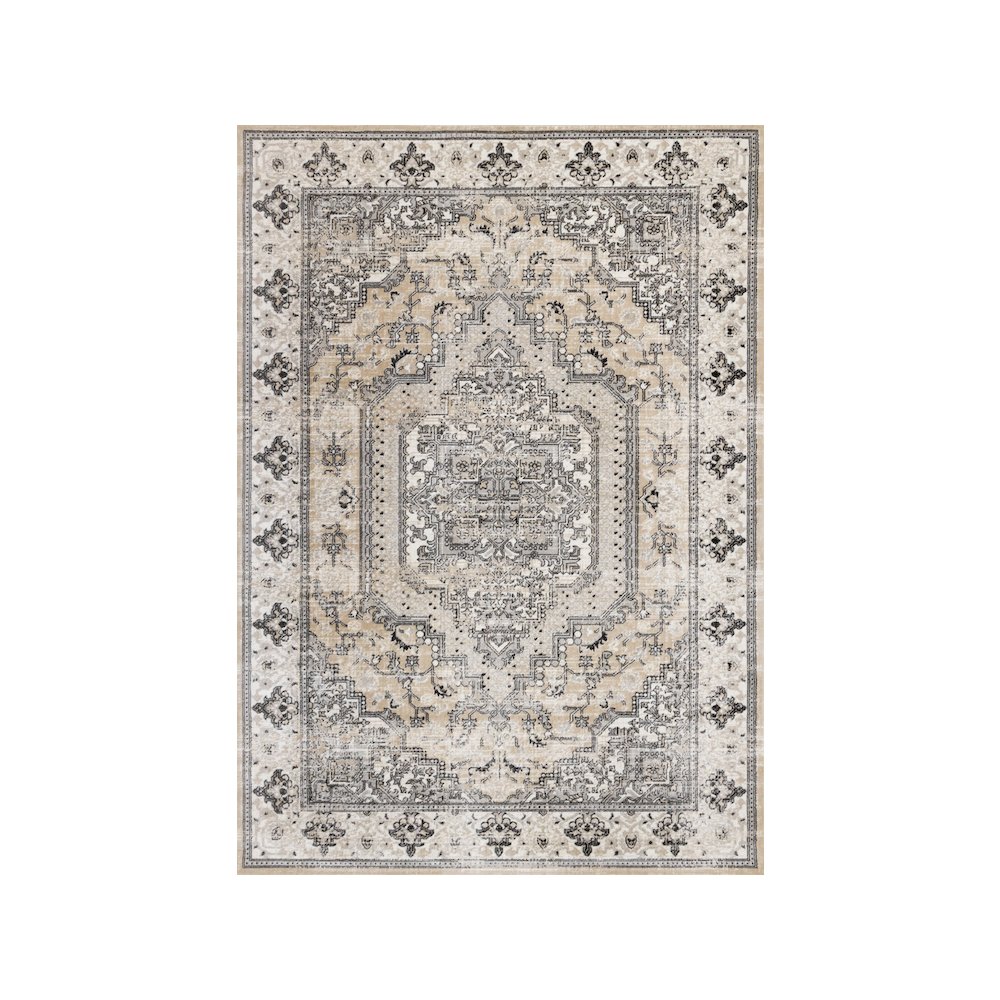 Beige and Grey Border Large Carpet, Classic Traditional 7x10 Area Rug. Picture 1