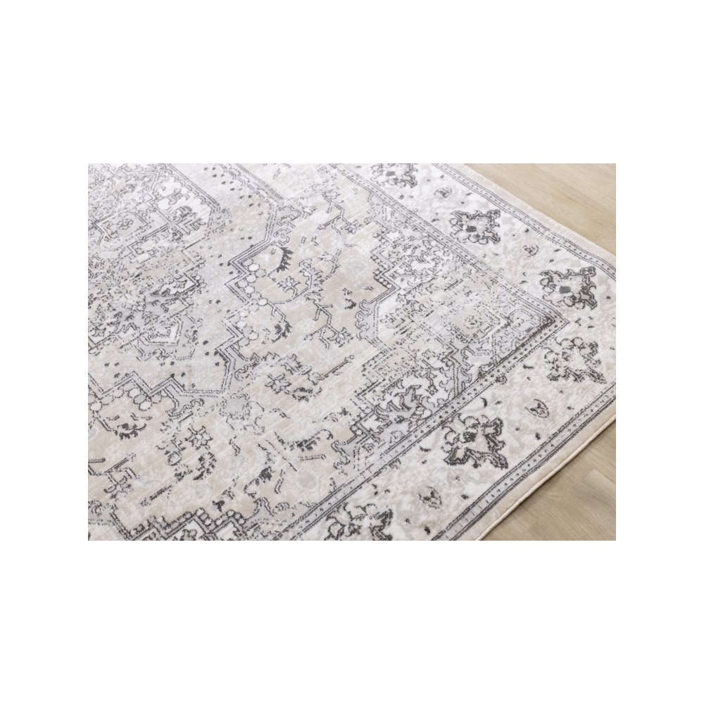 Beige and Grey Border Large Carpet, Classic Traditional 7x10 Area Rug. Picture 4