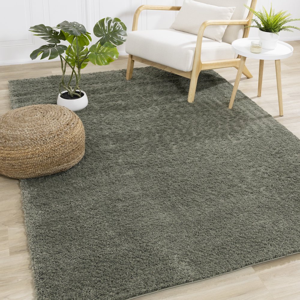 Palmer Soft Sage Green Shag Rug, 5'3" x 7'7". Picture 2