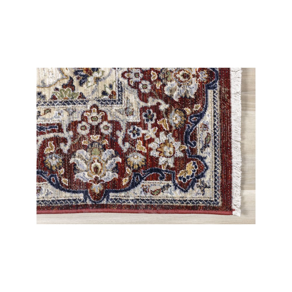 Sena Cream Red Traditional Medallion Rug, 7'10" x 10'2". Picture 6