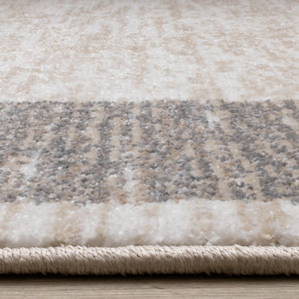 Claremont Beige Taupe Distressed Border Area Rug, 7'10'' x 10'6''. Picture 5