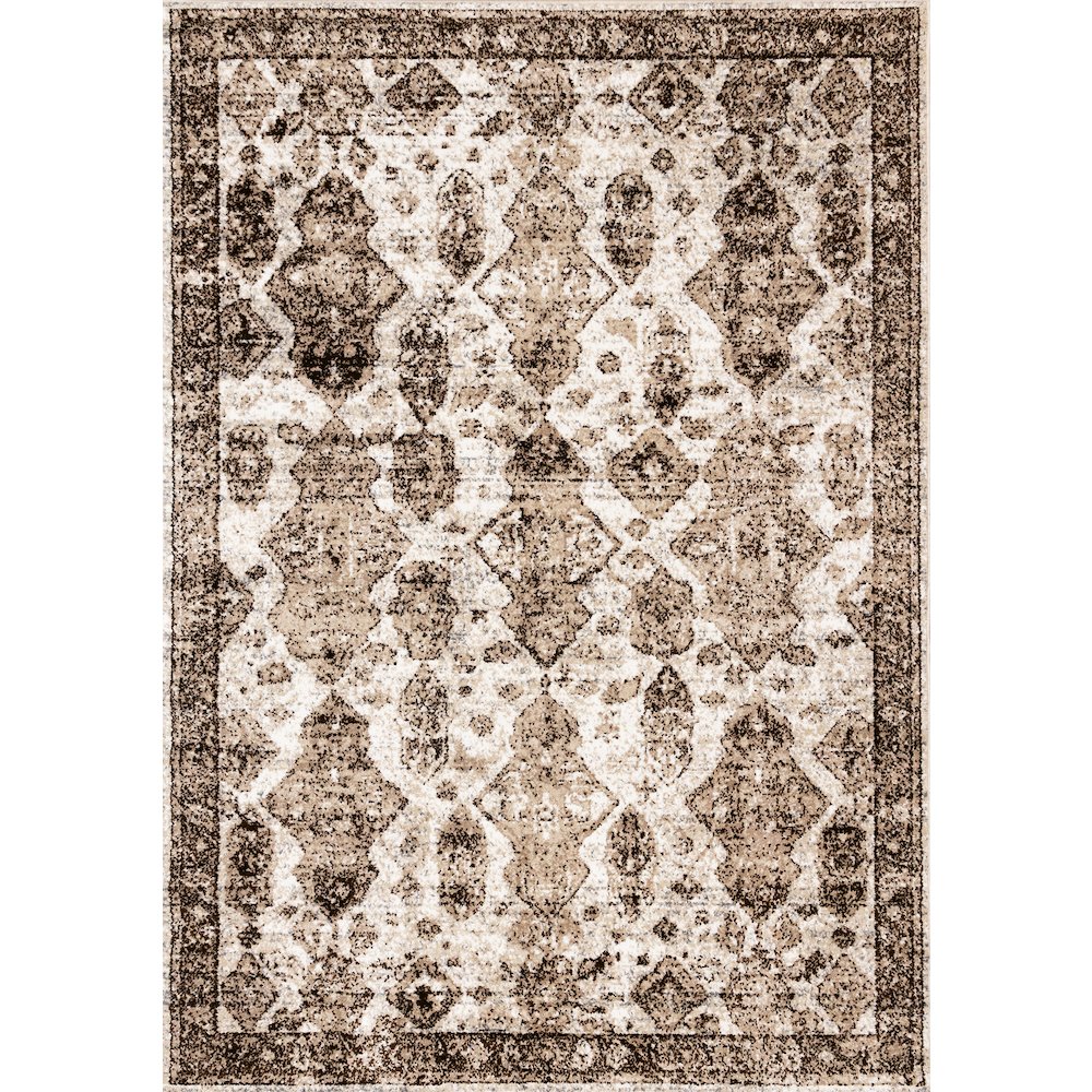Classic Distressed Carpet in Brown Cream, 7x10 Area Rug for Large Rooms. Picture 1