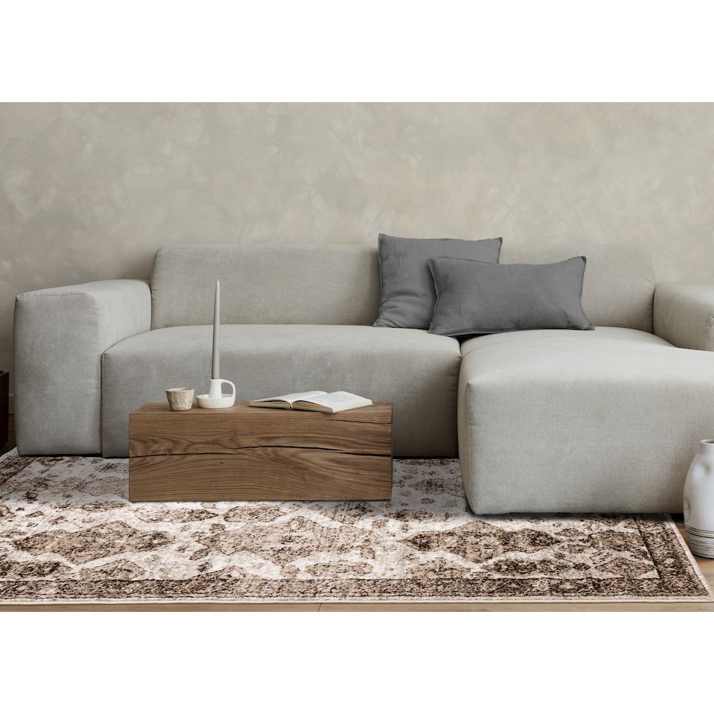 Classic Distressed Carpet in Brown Cream, 7x10 Area Rug for Large Rooms. Picture 3