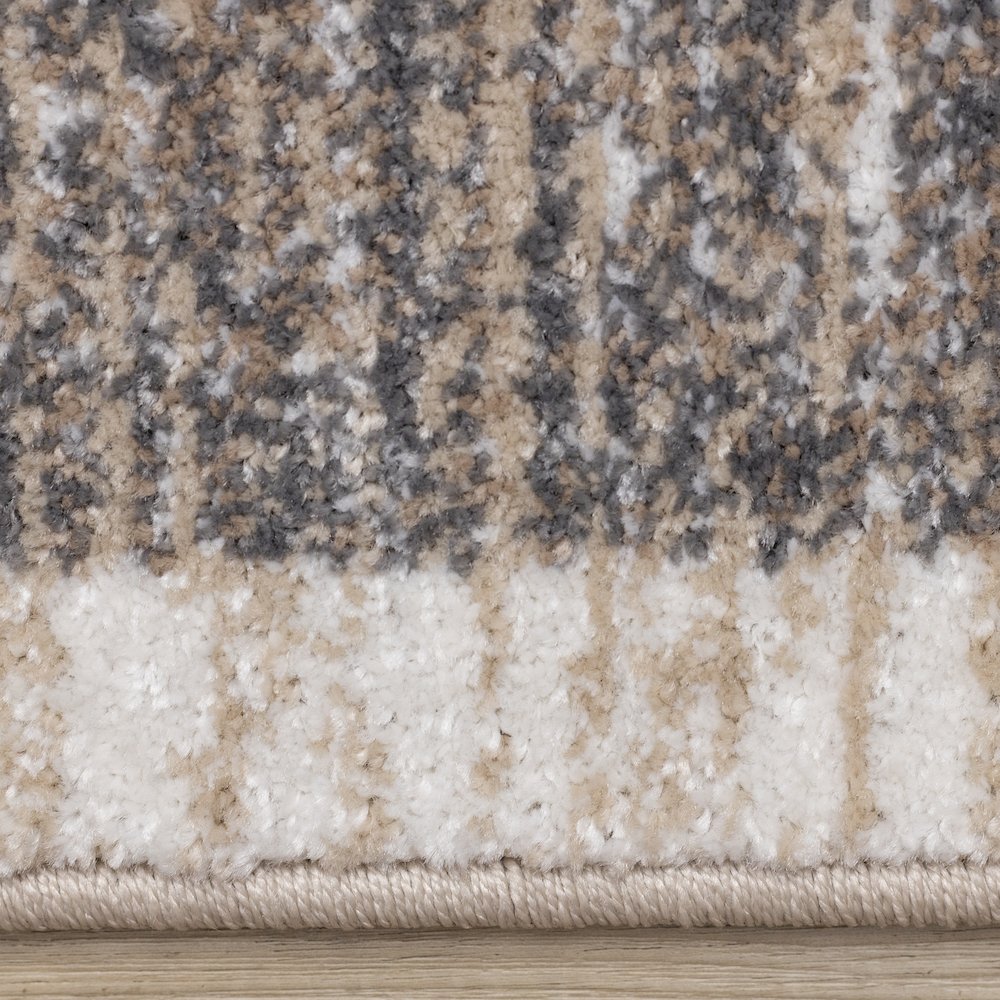 Claremont Beige Taupe Distressed Border Area Rug, 5'3" X 7'7". Picture 10
