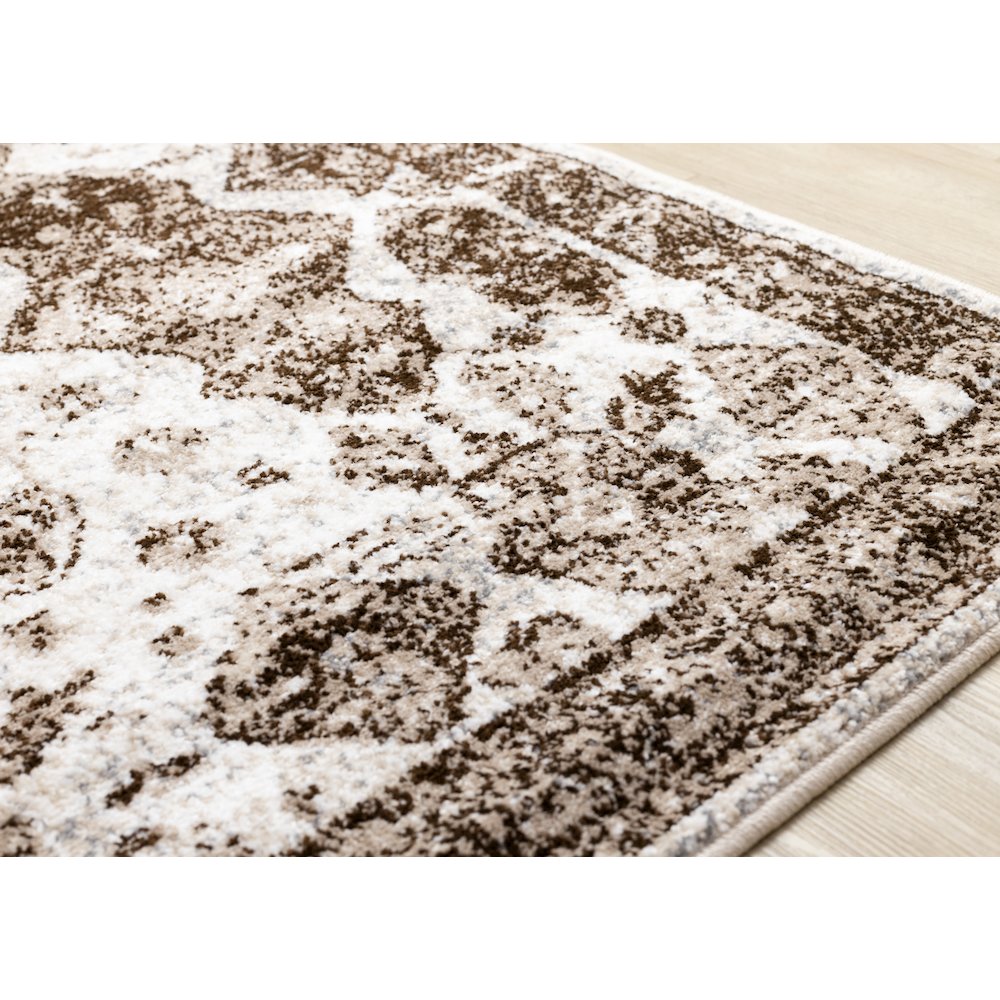 Classic Distressed Brown Cream 5x7 Area Rug, Elegant Carpet for Living Room. Picture 4