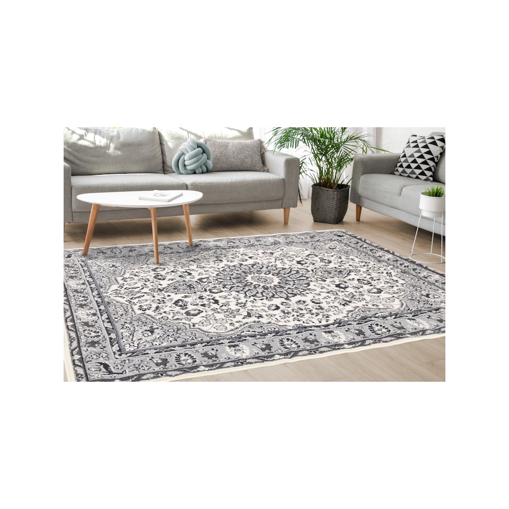 Functional Style Grey Traditional Area Rug, 4'7" x 6'7". Picture 3
