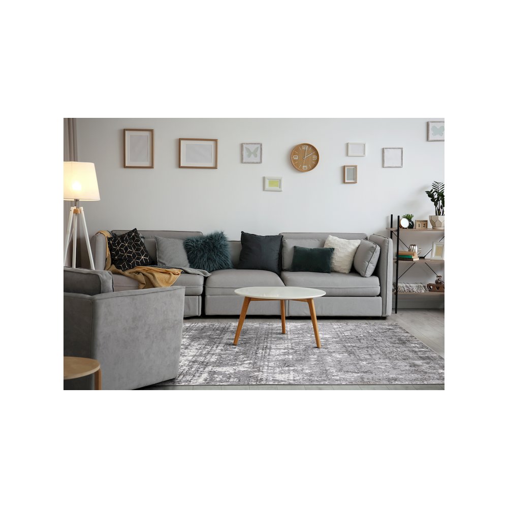 Classic Carpet Grey Polyester 5x7 Rug, Distressed Rug for Living Room. Picture 3