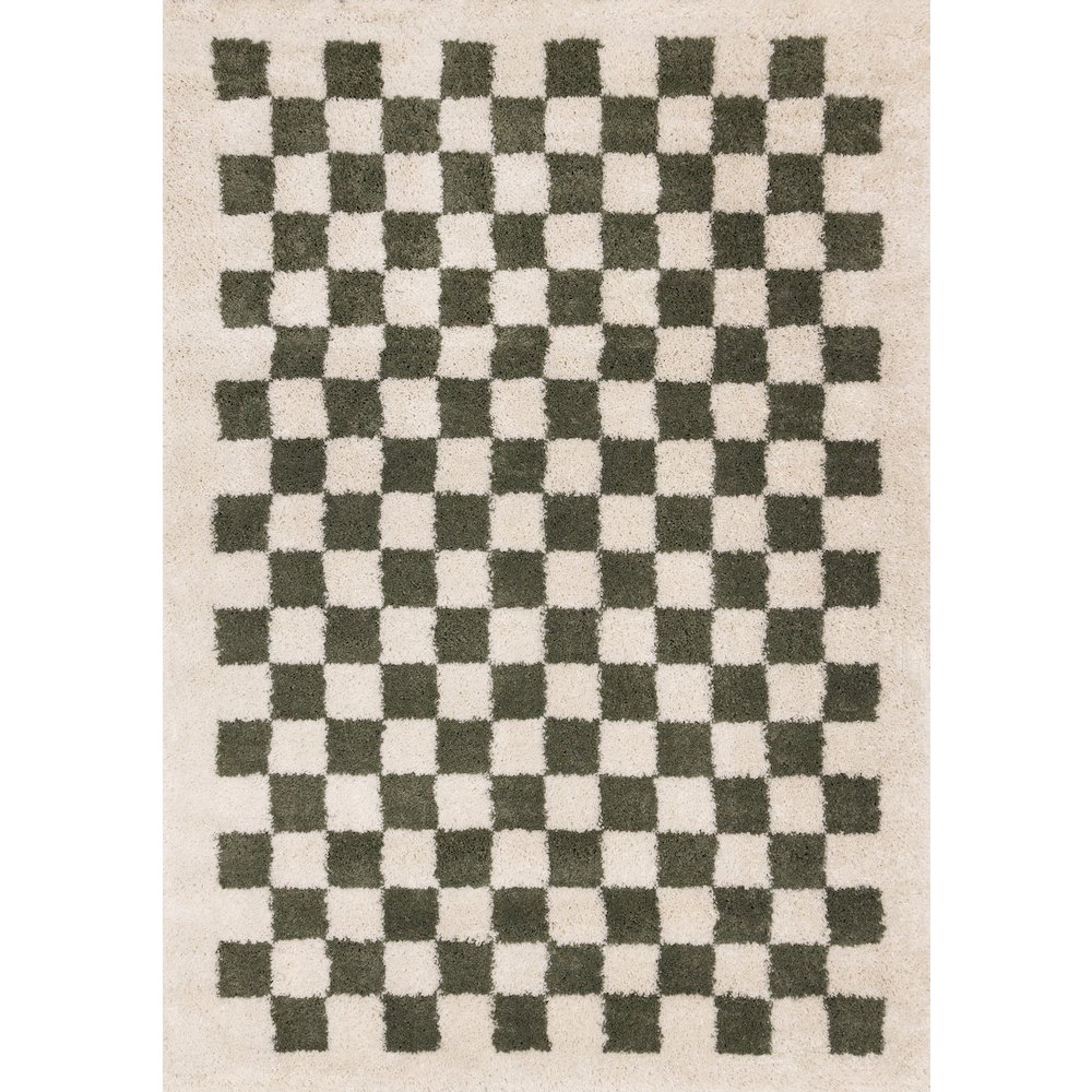 Madison Cream Green Small Checkered Shag Rug, 5'3" x 7'7". Picture 1