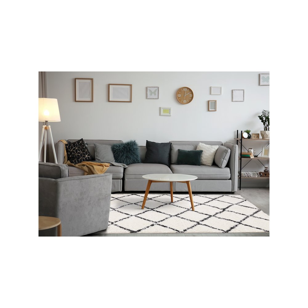 Soft 5x7 Washable Rug, Modern Lattice Carpet for Bedroom or Living Room. Picture 3
