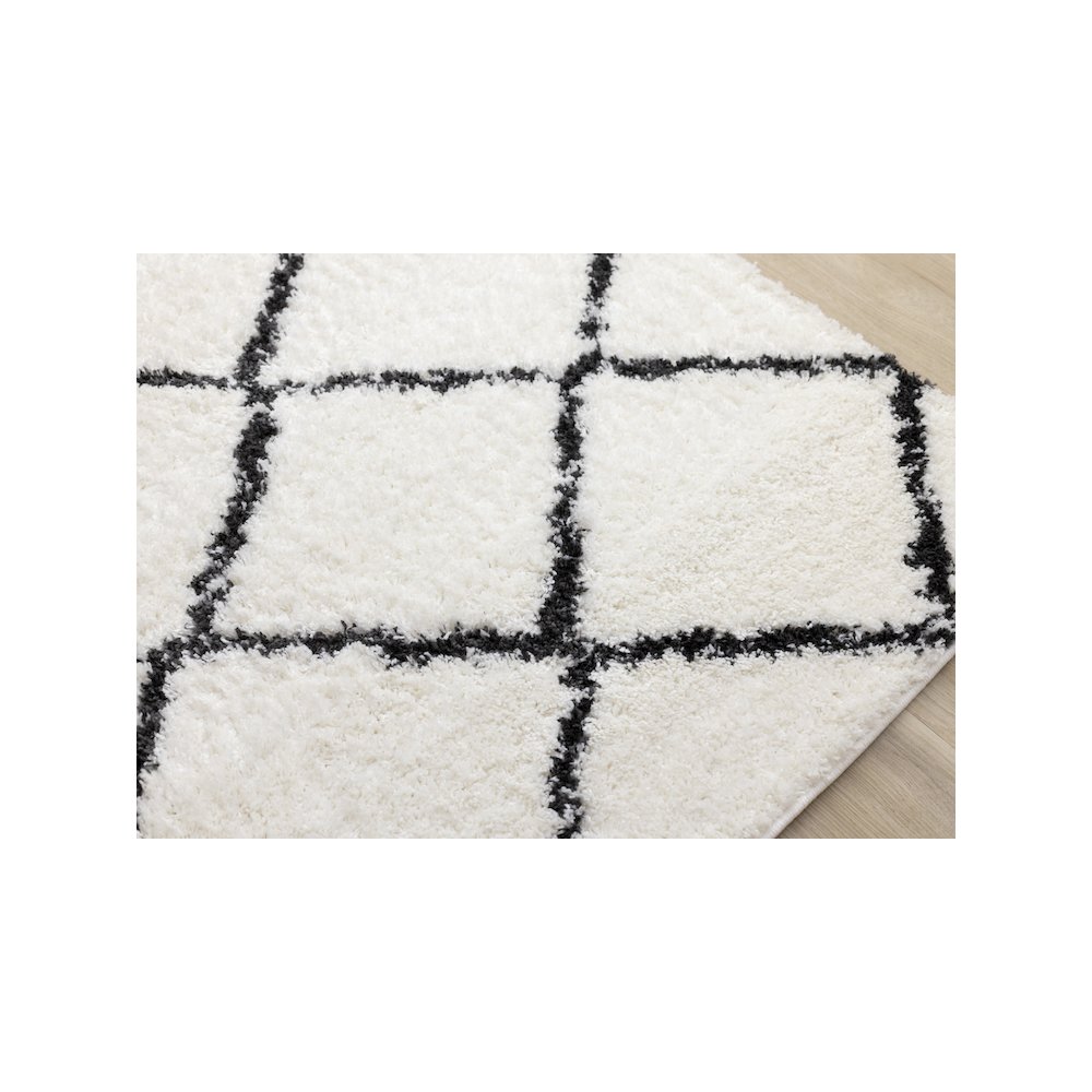 Soft 5x7 Washable Rug, Modern Lattice Carpet for Bedroom or Living Room. Picture 4