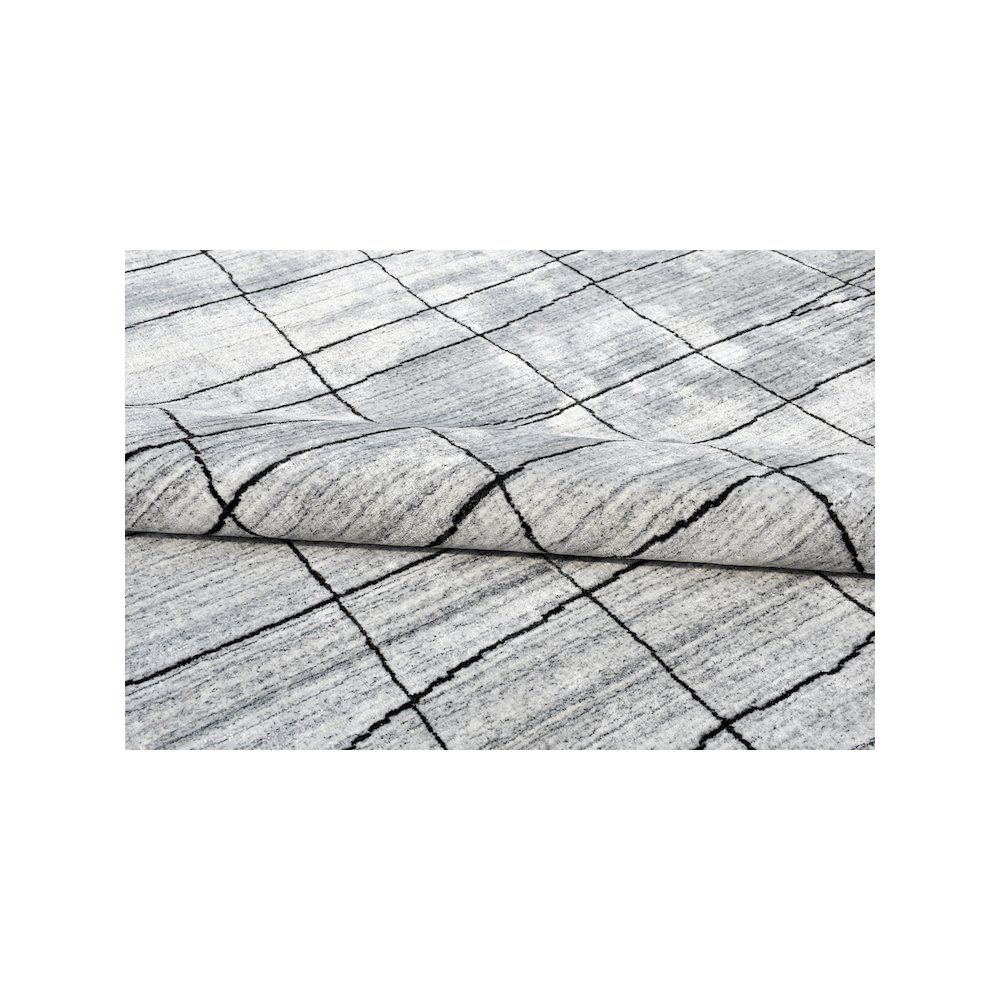Abstract Grid Area Rug. Picture 2