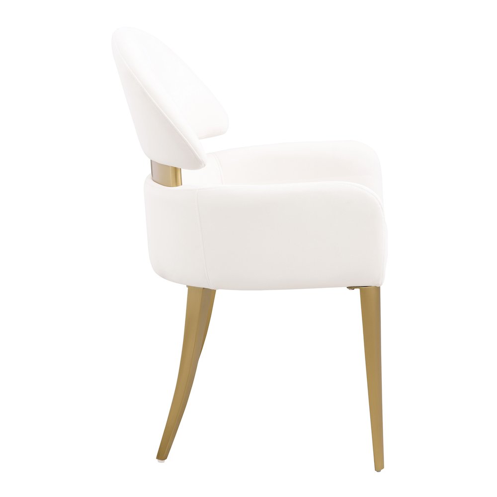 Bexar Modern Upholstered Dining Chairs (Set of 2). Picture 3