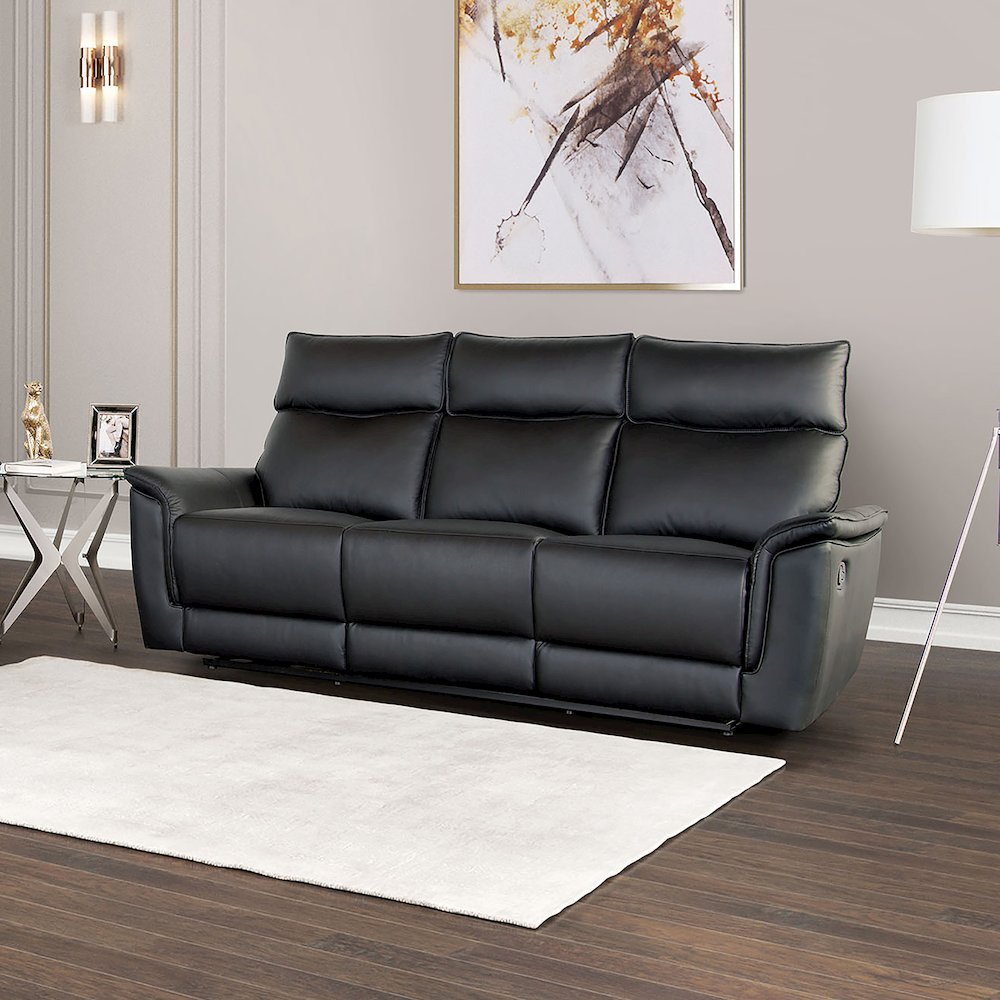 Telimate Leather Padded Reclining Sofa. Picture 2