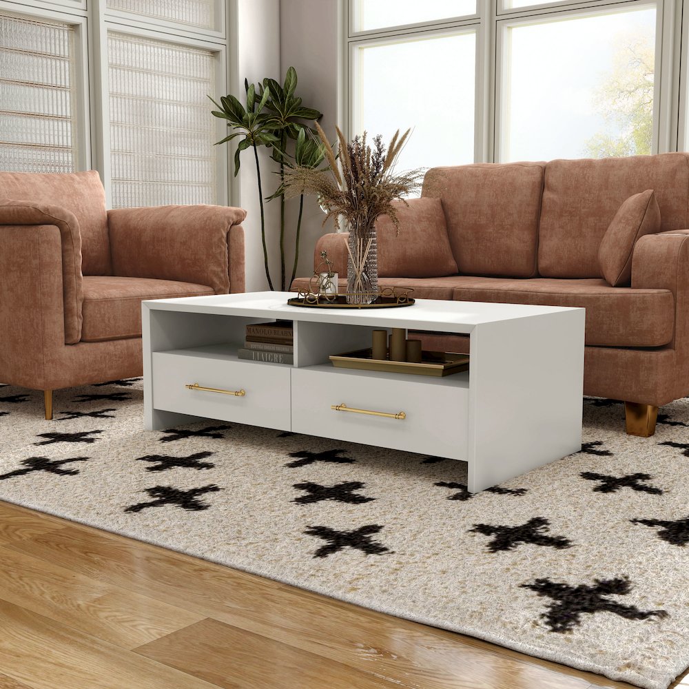 Elvora Modern Wood 2-Drawer and 2-Shelf Coffee Table. Picture 4
