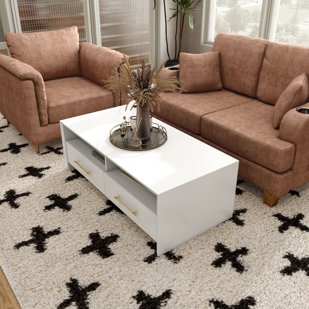 Elvora Modern Wood 2-Drawer and 2-Shelf Coffee Table. Picture 5