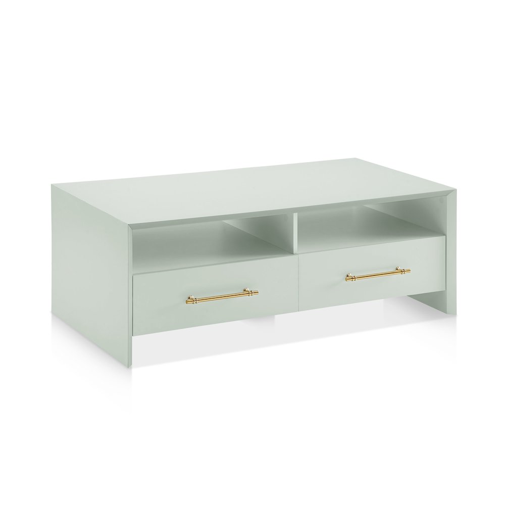 Elvora Modern Wood 2-Drawer and 2-Shelf Coffee Table. Picture 1