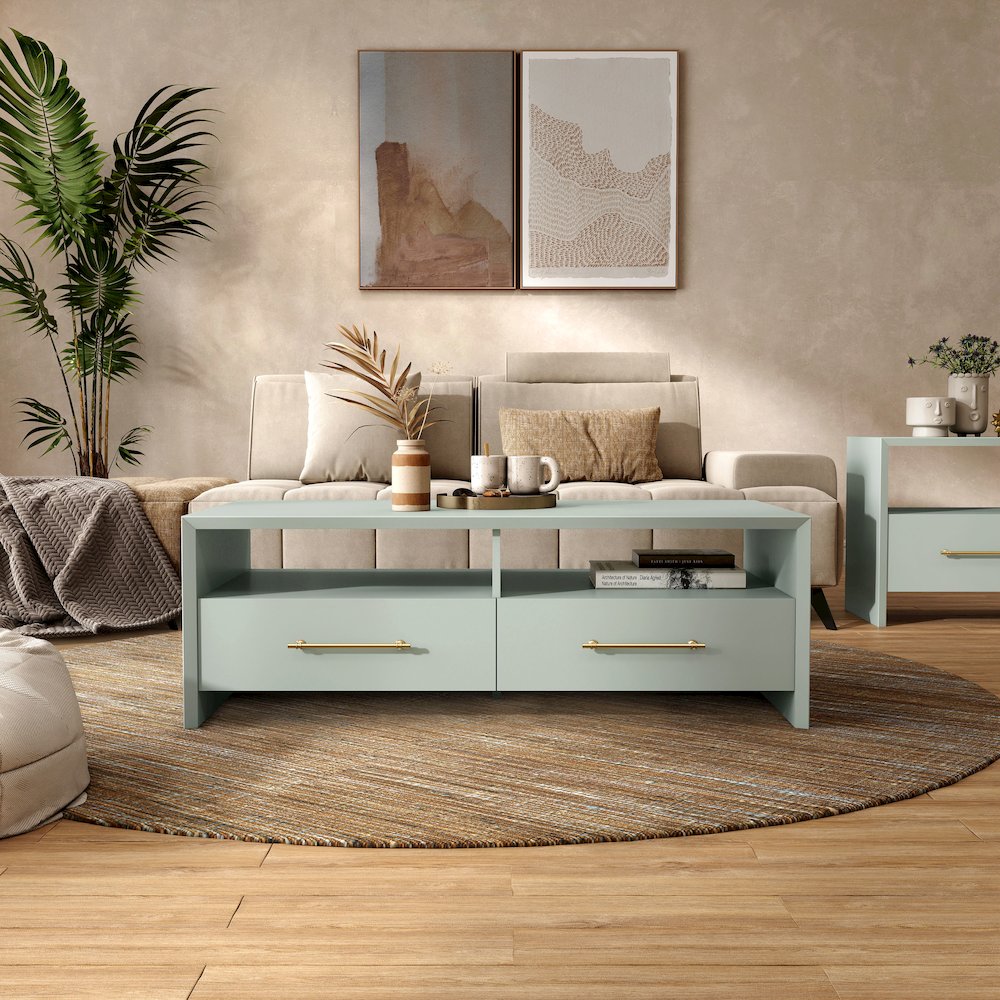 Elvora Modern Wood 2-Drawer and 2-Shelf Coffee Table. Picture 4