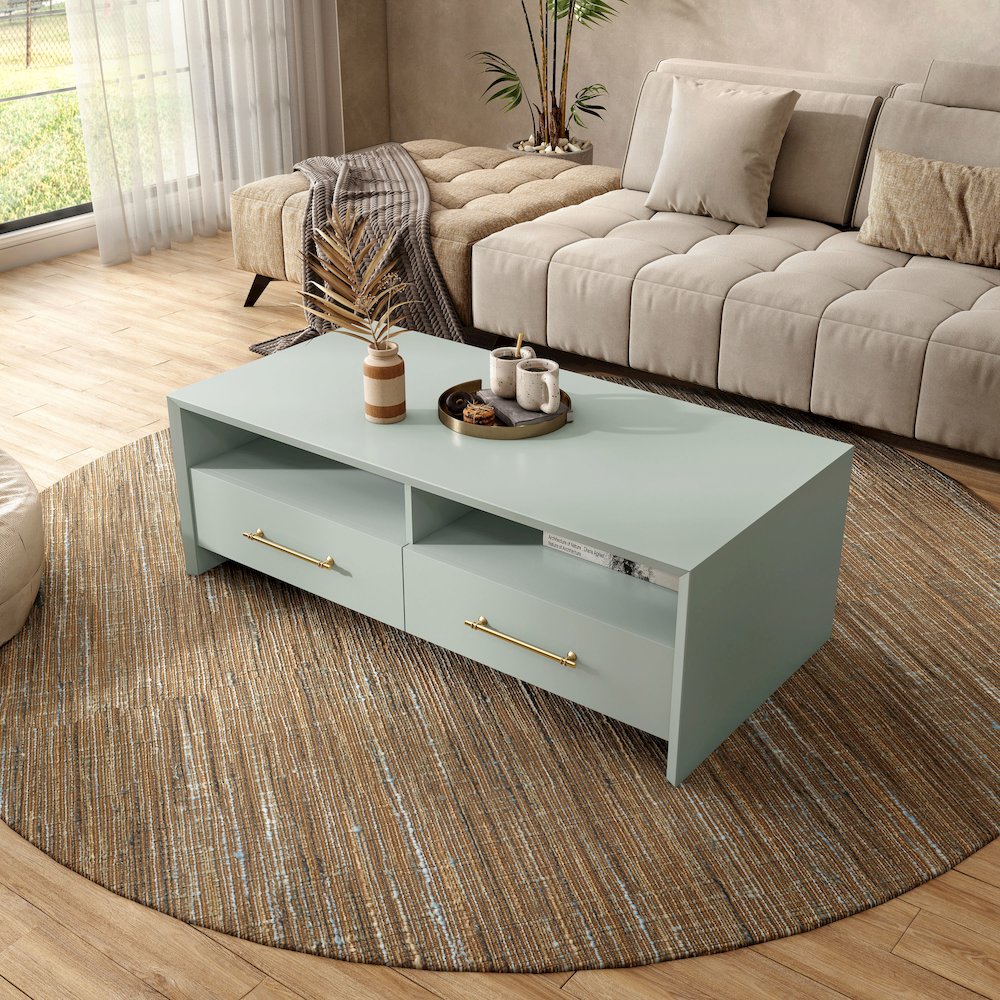 Elvora Modern Wood 2-Drawer and 2-Shelf Coffee Table. Picture 5
