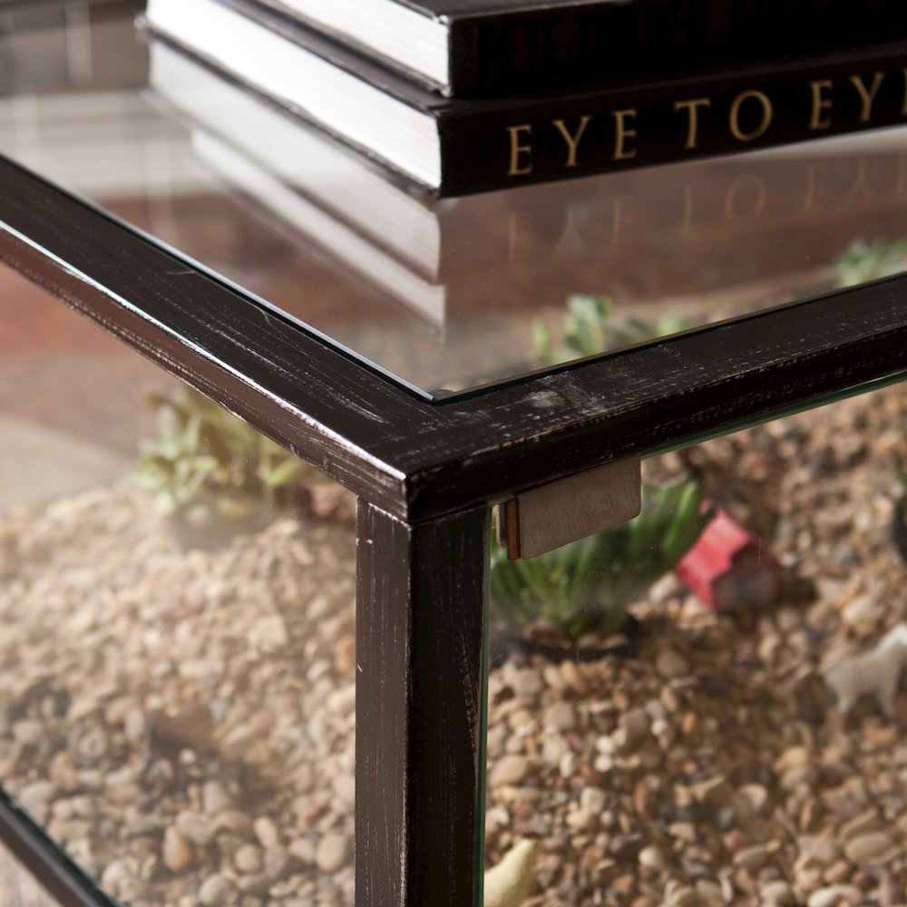 Terrarium Display Cocktail Table. Picture 4