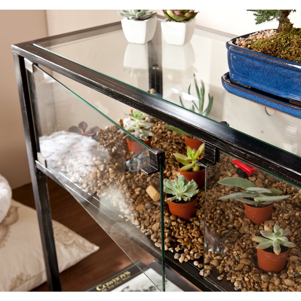 Terrarium Display Console. Picture 4