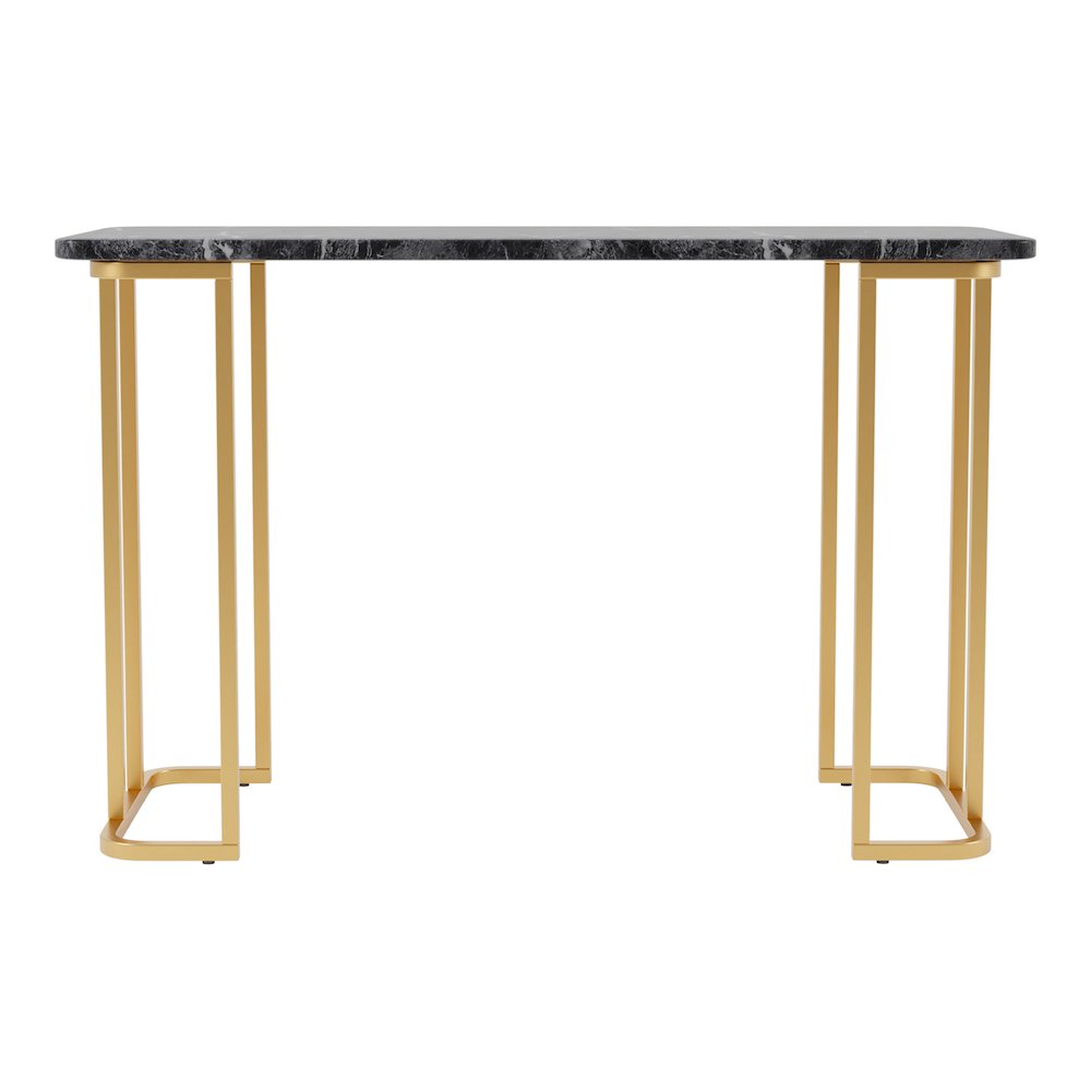 Clotten Contemporary Metal Console Table in Black. Picture 4