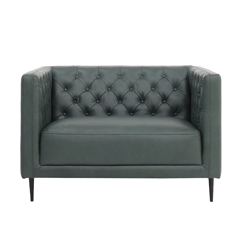 Lucius Top Grain Leather 1.5 Arm Chair - Green. Picture 1