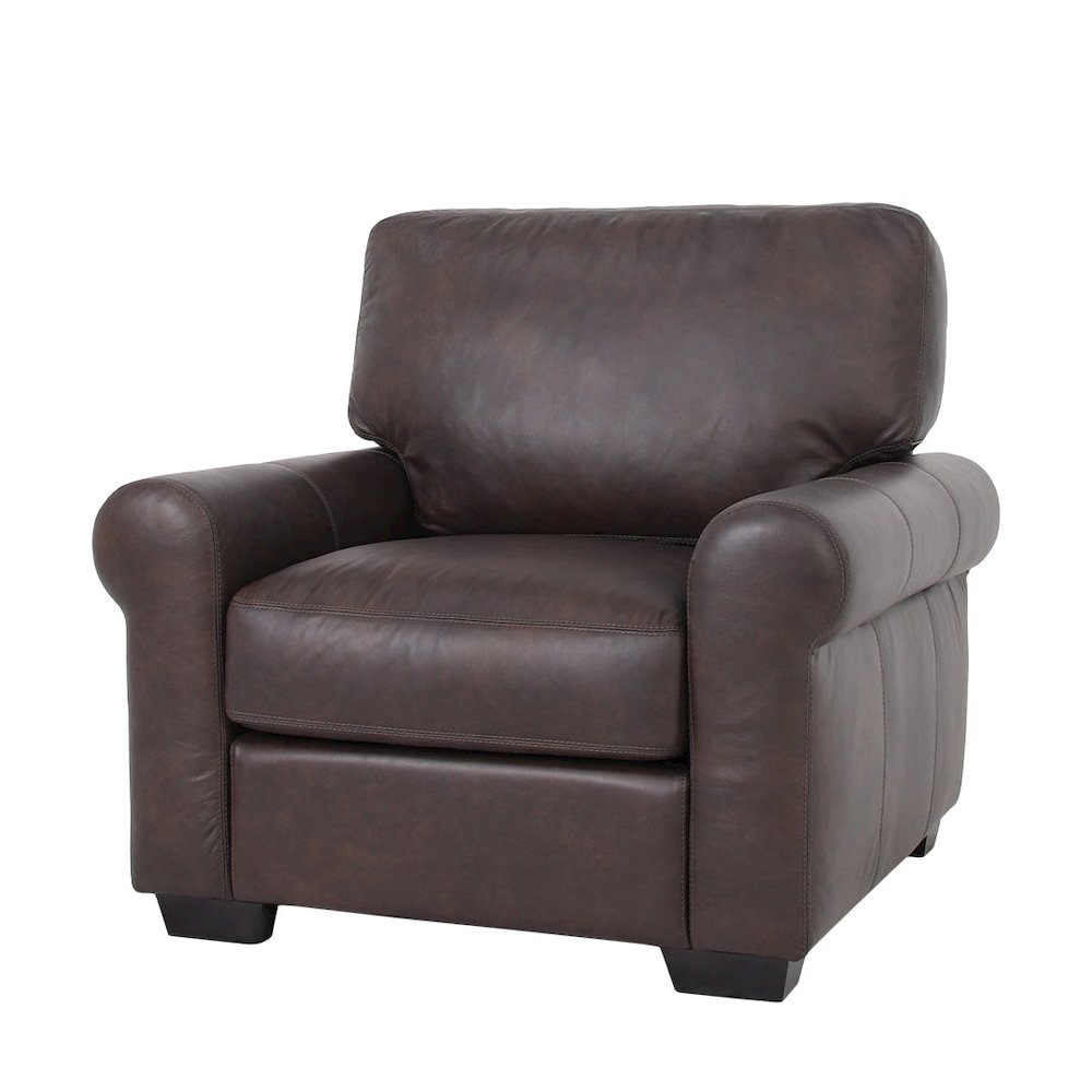 Florentine Leather Arm Chair Tan - Dark Brown. Picture 1