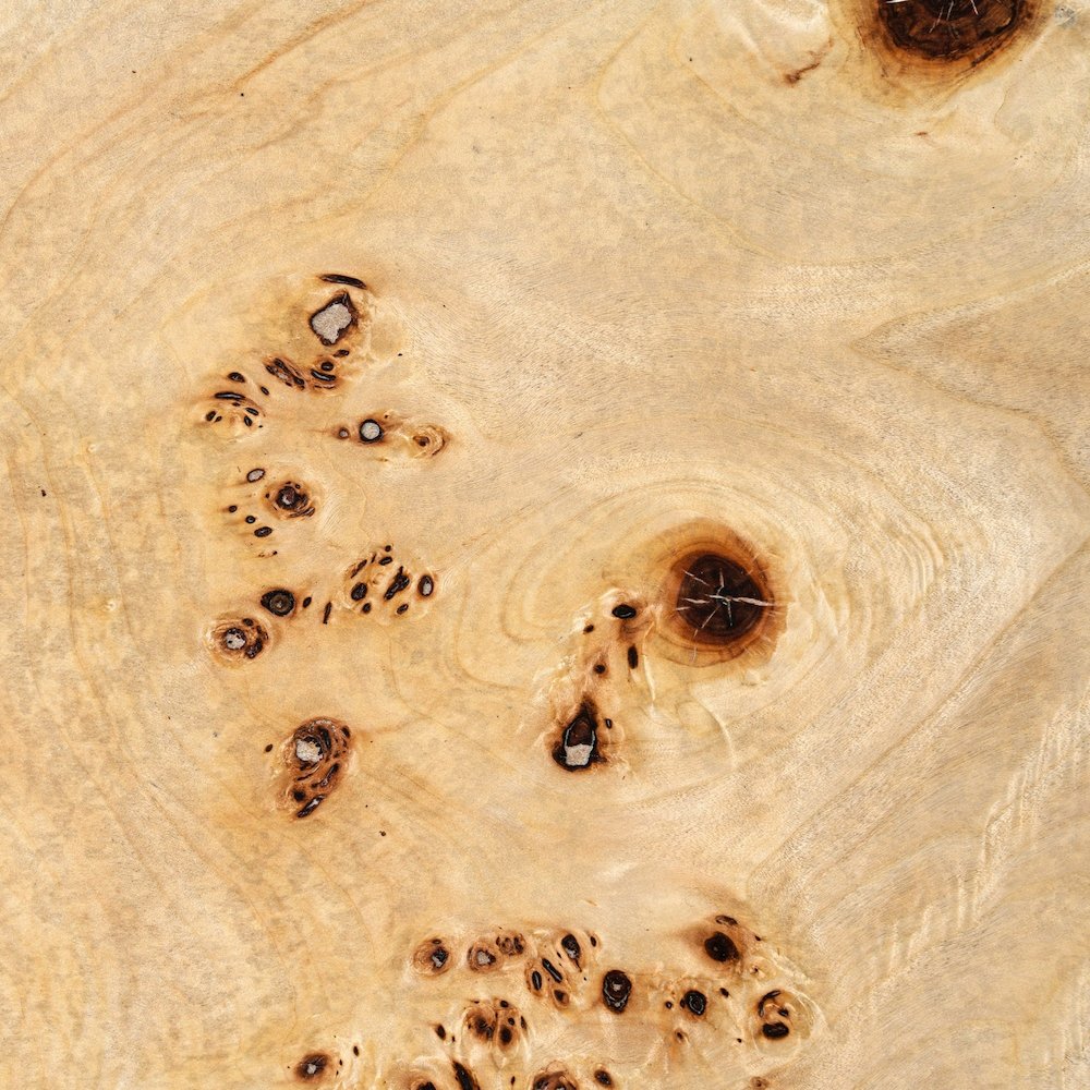 July - Modern Mapa Burl Round Coffee Table. Picture 4