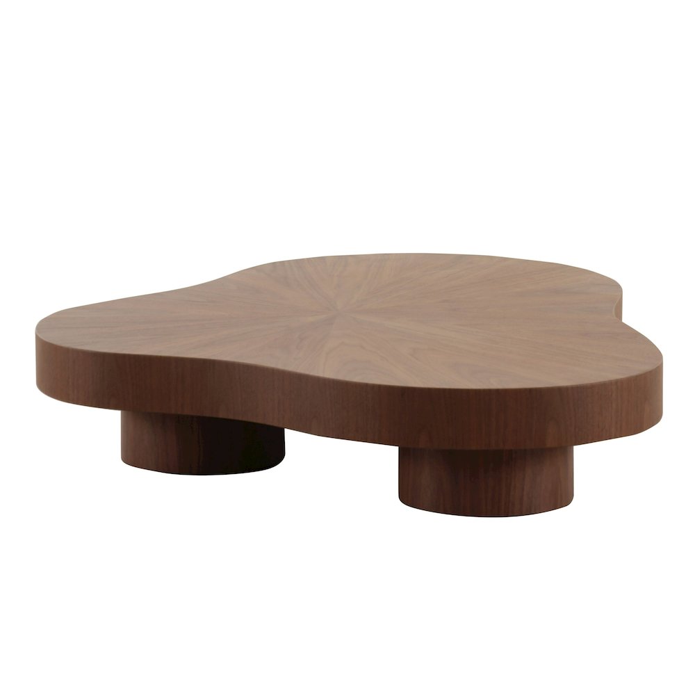 Modrest Larch - Modern Walnut Free Form Coffee Table. Picture 2