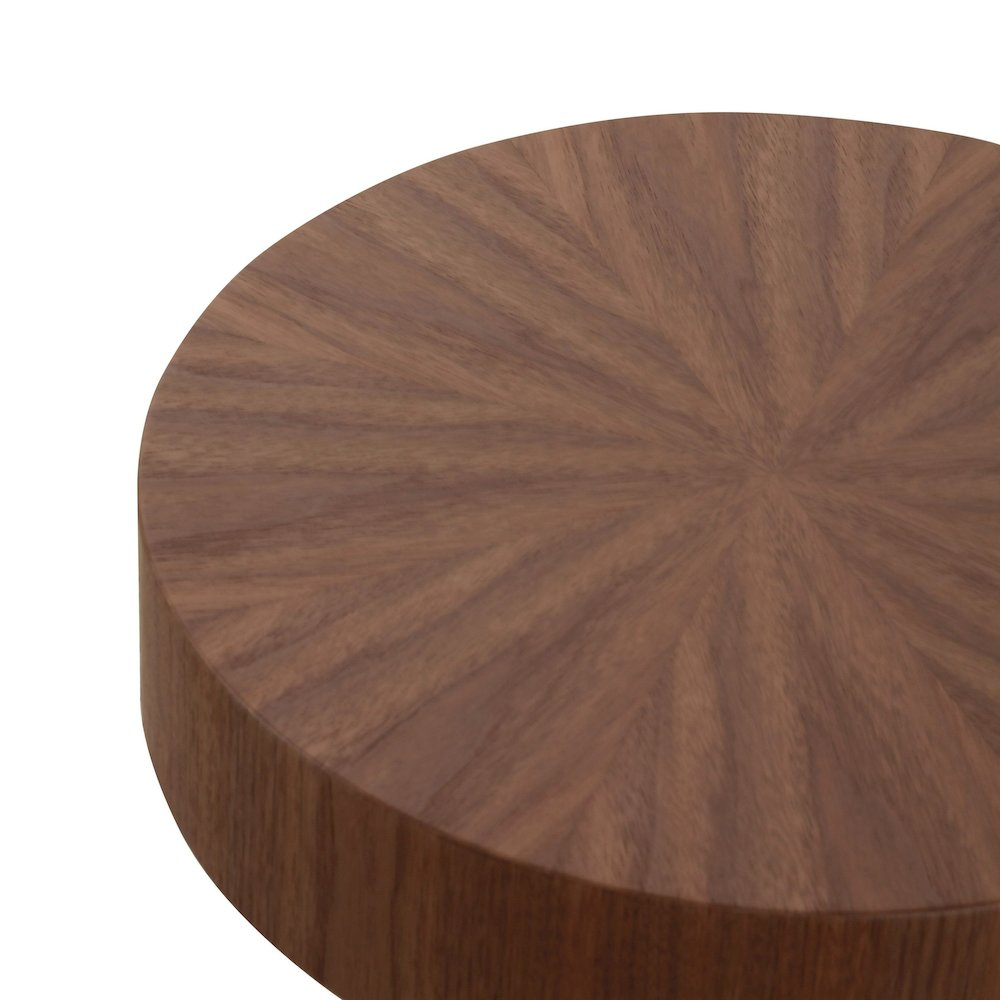 Modrest Larch - Modern Walnut End Table. Picture 2