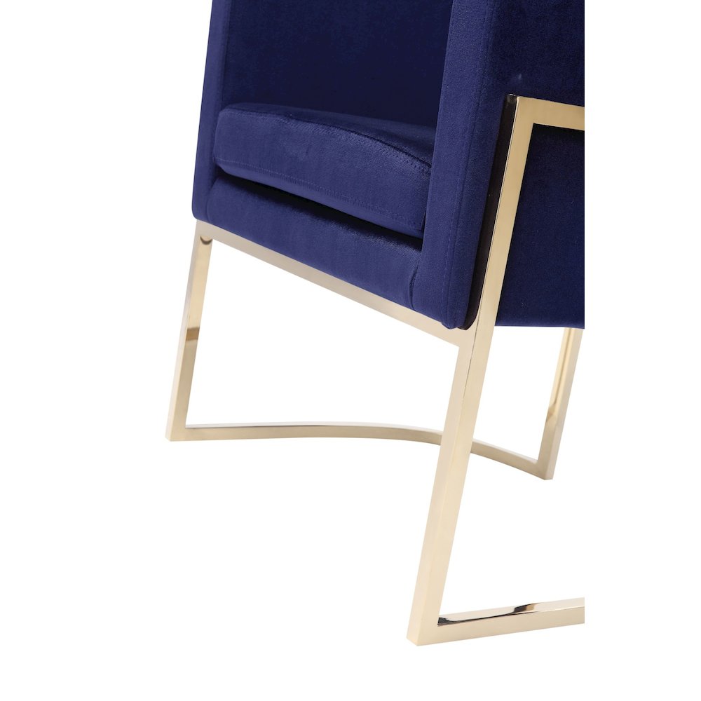 Modrest Betsy - Modern Navy Blue Velvet + Gold Kids Chair. Picture 5