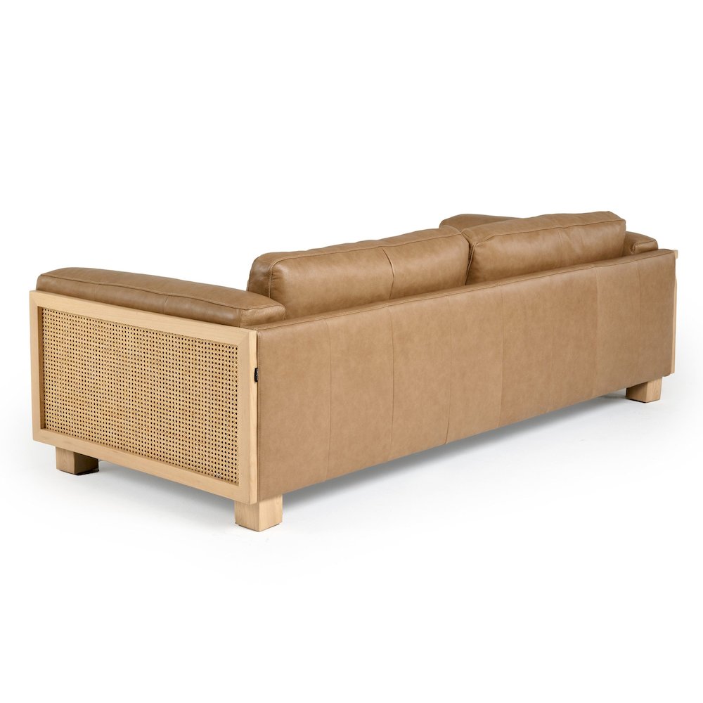 Danson - Modern Tan Leather Wicker Sofa. Picture 6