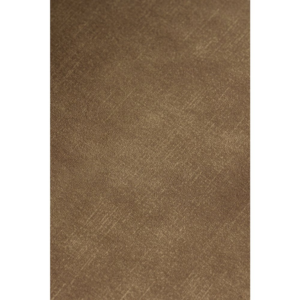 Modrest Ditka - Modern Camel Velvet Dining Chair (Set of 2). Picture 3