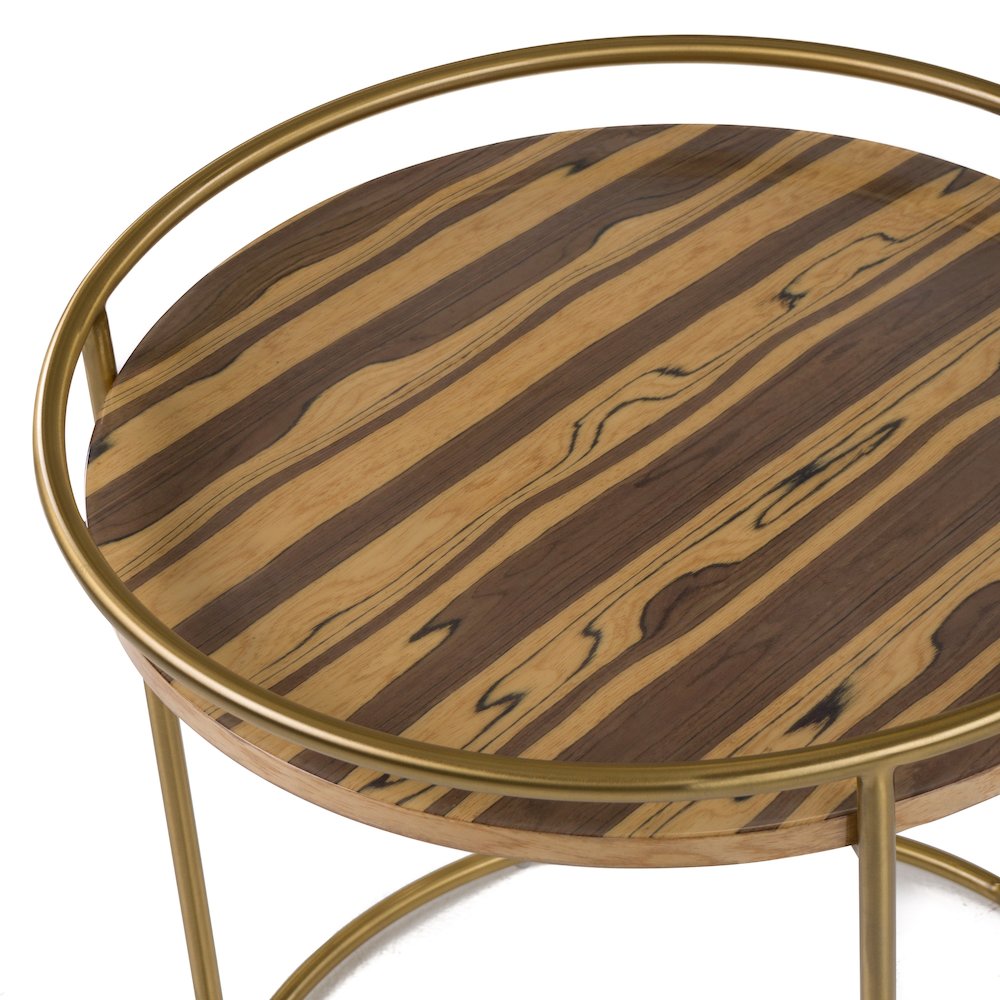Modrest Gilcrest - Glam Brown and Gold Marble End Table. Picture 4