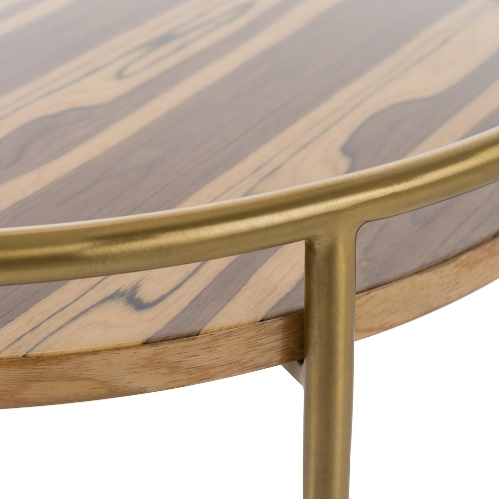 Modrest Gilcrest - Glam Brown and Gold Marble End Table. Picture 5