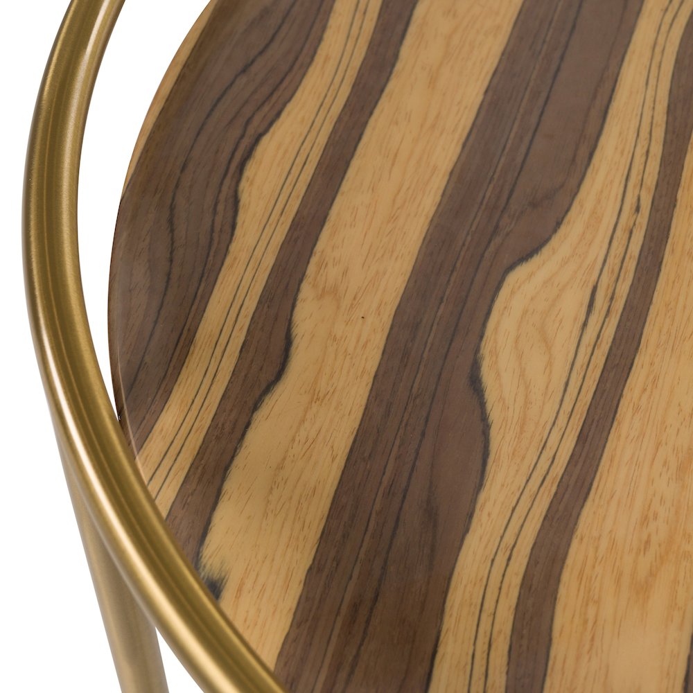 Modrest Gilcrest - Glam Brown and Gold Marble End Table. Picture 6