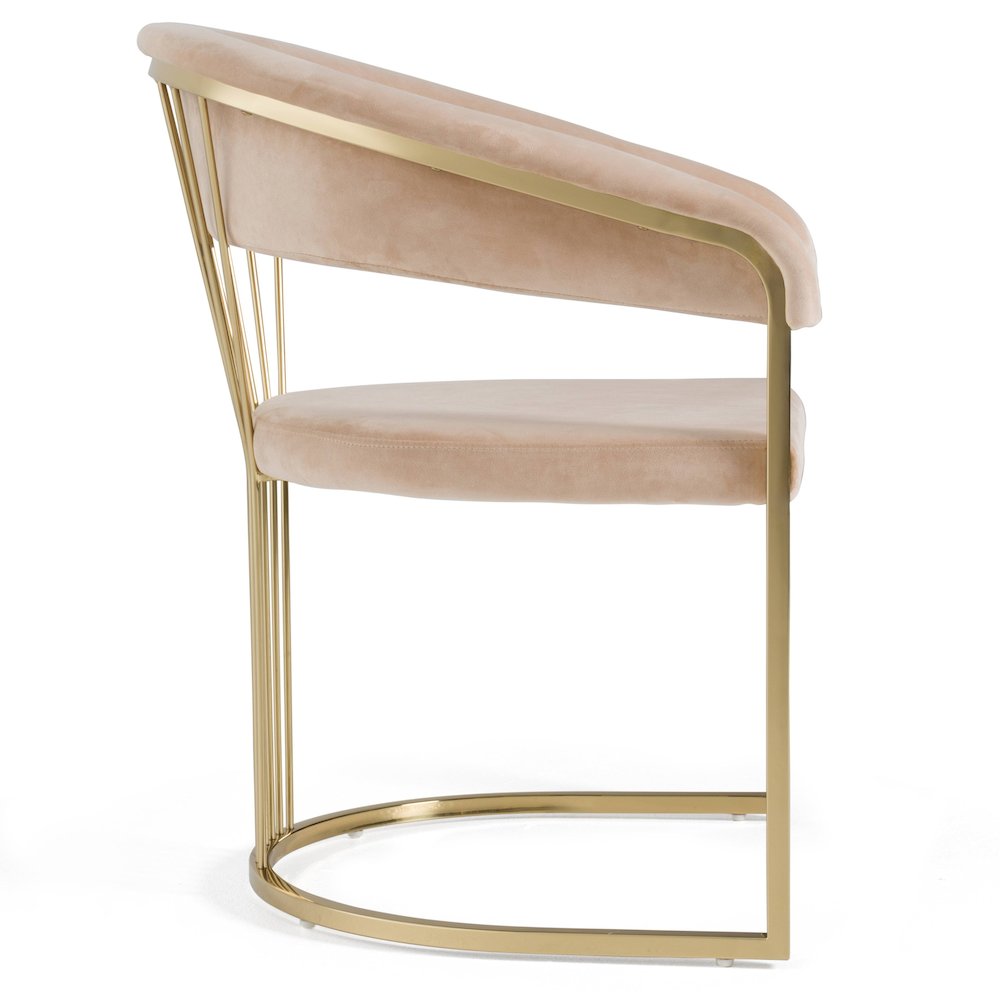 Linda - Modern Beige Velvet and Gold Dining Chair. Picture 4
