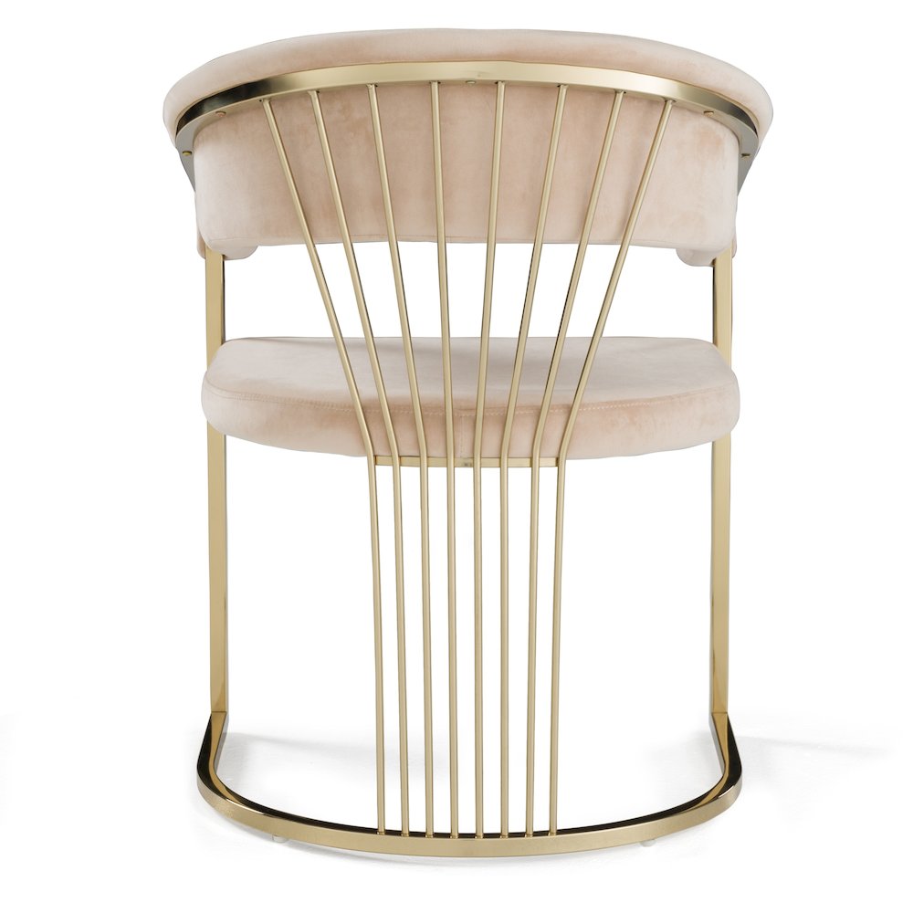 Linda - Modern Beige Velvet and Gold Dining Chair. Picture 5