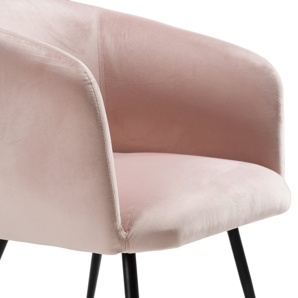 Luzerne - Modern Pink Velvet Dining Chair. Picture 5